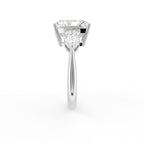 18K White Gold Trilogy Asscher Diamond Engagement Ring — SIDE