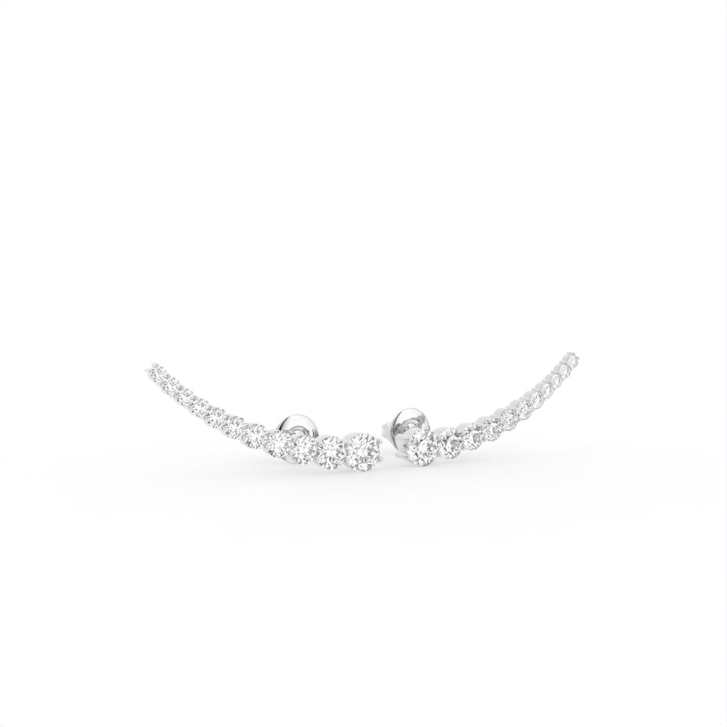 vimg:FJ4781|vimg:FJ4782|vimg:FJ4783|14K White Gold Bespoke Diamond Earrings — 3D VIEW