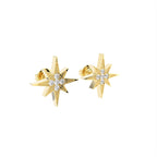 18K Polar Star Diamond Earrings — 3D VIEW